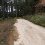 Limpeza das ruas e o corte de ervas na freguesia