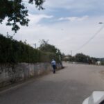 Limpeza das ruas e o corte de ervas na freguesia